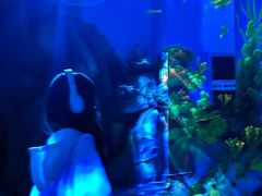 -常州海昌海洋探索馆