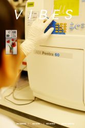 -北京和美妇儿医院