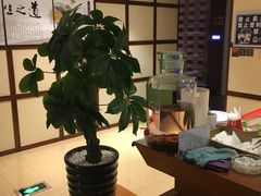 -果裹水汇(帅府店)