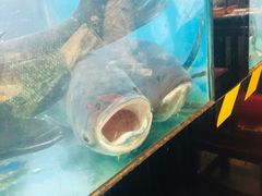 -好灶头妈妈菜·柴火灶台鱼·千岛湖土菜地标美食