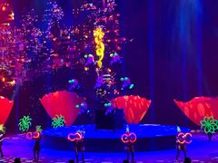 -珠海横琴长隆《卡卡虎奇遇记》