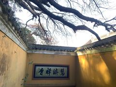 -普陀山慧济禅寺