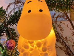 -野草莓自由市场