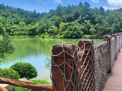 -广州白江湖森林公园