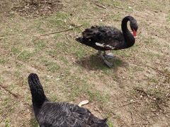 -长春市南湖公园