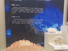 -天津自然博物馆