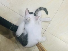 -玉椰林甜品店(创始店)