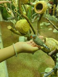 -Zoolung Zoolung动物主题公园(海信广场店)