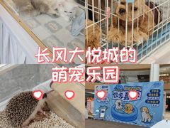 -上海长风大悦城