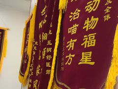 -中农国际动物医院24小时·猫科·骨科·急重症中心