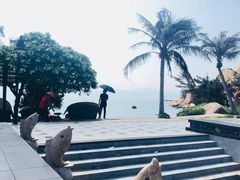 -那琴半岛地质海洋公园