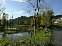 -广州市石门国家森林公园