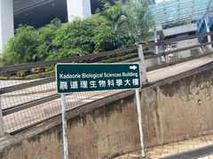 -香港大学