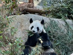 -泉州海丝野生动物世界