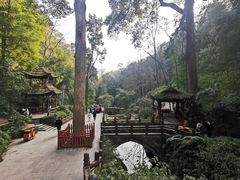 -青城山