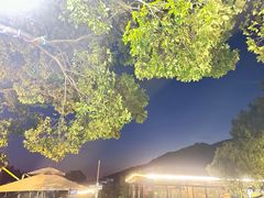 -蘇河湾·新鲁菜·泰山宴(泰山店)