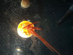 -大阪海游馆