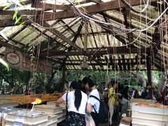 -Bamboo Saturday Market(Nana Jungle)