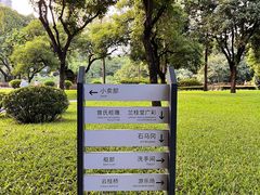 -晓港公园