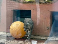 -青藏高原野生动物园