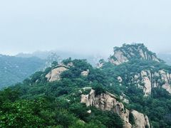 -大岭沟猕猴桃谷风景区