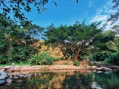 -广州市石门国家森林公园
