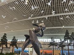 -青岛胶东国际机场