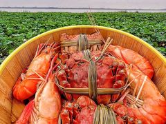 -七的湖·晚芳亭·阳澄湖农家菜·大闸蟹(莲花岛店)
