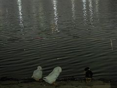 -黄兴公园