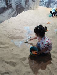 -恐龙探索乐园(磁器口店)