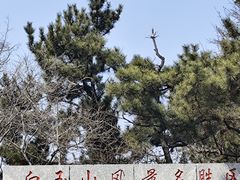 -白玉山景区