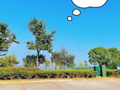 -品鲜村农家菜·阳澄湖大闸蟹(总店)