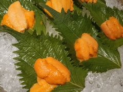 -初花·日本料理