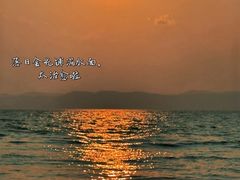 -洱海月湿地公园