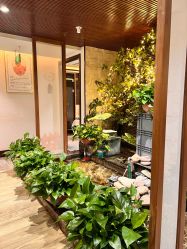 -至爱至信新中式SPA疗愈会所