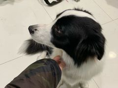 -上海潜殿潜水中心