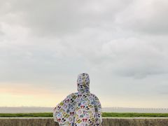 -南汇新城海滩