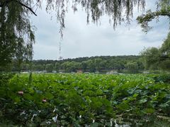 -承德避暑山庄景区