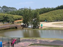 -迪茵湖田家舍生态农场