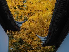 -西园戒幢律寺
