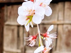 -三里河公园
