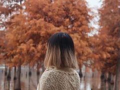 -白鹭湾湿地公园