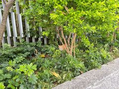 -粤小馆(天安云谷店)