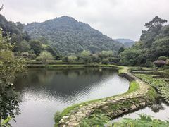 -桃花岭景区