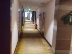 -长沙君逸康年大酒店(贺龙体育馆店)