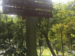 -广州市帽峰山景区