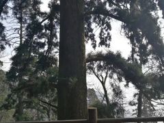 -东天目山风景区