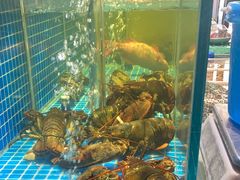 -庆赫隆融合菜馆(群力店)