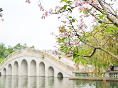 -宝墨园景区