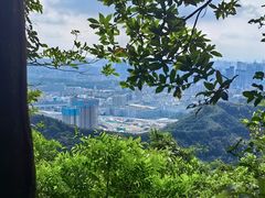-阳台山森林公园